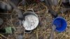 United Nations Says 3 Countries, One Region on Brink of Famine, Due to COVID-19