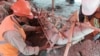 Scientists Find Mammoth Bones Near Mexico City