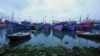 Vietnamese Collector Offers Antiques to Battle China