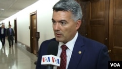 美国参议院外交委员会亚太小组委员会主席加德纳在接受美国之音采访。