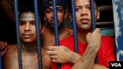Promover actividades sociales, deportivas además de oportunidades de trabajo, son las propuestas de las que se hablan en la OEA para prevenir la delincuencia en la región.