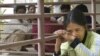 Rights Groups Concerned Over Australian Refugee Deal