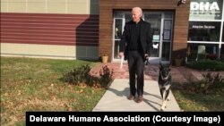  Joe Biden with Major, a German shepherd adopted from an animal shelter in November 2018