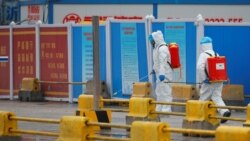 拜登總統關於新冠病毒溯源調查的聲明暨國家情報總監辦公室解密要點 (全文翻譯)