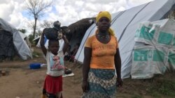 Cabo Delgado: Pesquisador João Feijó diz que o projecto de gás poderá avançar, mas sem muitas vantagens para o país