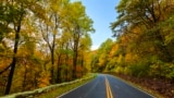 Fall colors along Skyline Drive