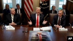 President Donald Trump, with a poster of himself laid out in front of him, speaks during a cabinet meeting at the White House, in Washington, Jan. 2, 2019. 