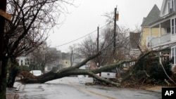 Sebuah pohon roboh menimpa tiang listrik dan menghalangi jalan di Swampscott, 2 Maret 2018.