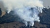 Forest fire damages dozens of homes, causes evacuations in Japan 