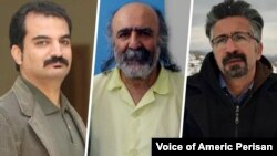از راست: شهرام صفری، کیوان صمیمی بهبهانی و خسرو صادقی بروجنی 