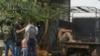 Autoridades detienen en Panamá un camión con 22 migrantes vietnamitas