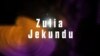 Zulia Jekundu: Wasanii wenye ulemavu wa ngozi wafanya maonyesho ya sanaa Afrika Kusini 