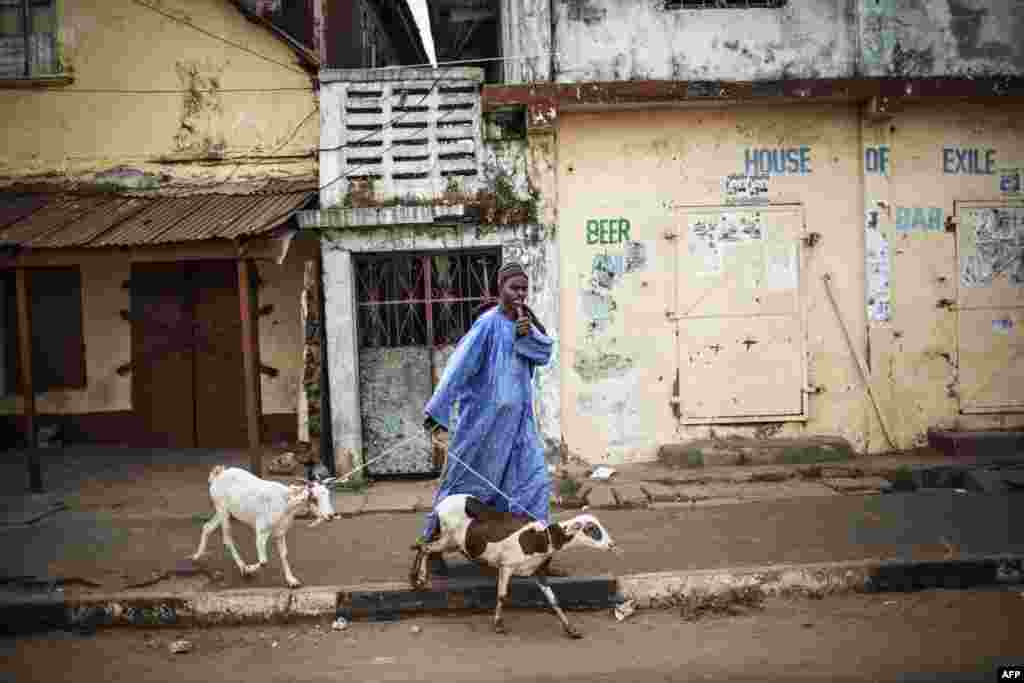 A man leading livestock gives thumbs up to supporters of Adama Barrow, the flag-bearer of the coalition of the seven opposition political parties in Gambia as they parade through the streets of Banjul.