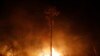 Incendios en el Amazonas plantean riesgos para la salud de los niños: OMS