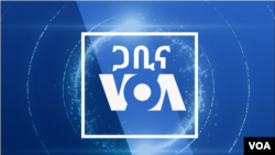 ዐርብ፡-ጋቢና VOA