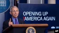 El doctor Anthony Fauci, líder científico de la lucha estadounidense contra el COVID-19, sugiere que la reactivación del país se planifique cuidadosamente.