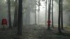 Are Missing and Murdered Indigenous Men in US Being Ignored?