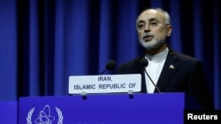 FILE - Head of Iran's Atomic Energy Organization Ali-Akbar Salehi attends the opening of the International Atomic Energy Agency (IAEA) General Conference at their headquarters in Vienna, Austria September 18, 2017. (REUTERS/Leonhard Foeger)