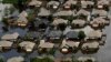 Harvey Recovery Czar Faces Limits to 'Future-proofing' Texas