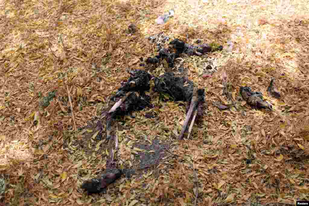 Des feuilles couvrent le cadavre d'un homme qui, selon les soldats nigérians, a été brûlé vif par des militants de Boko Haram dans Damasak, le 24 mars 2015.