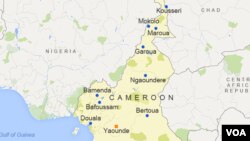 Les manifestants ont brûlé des pneus sur la voie publique et la police est intervenue pour les disperser, à Bamenda, au Cameroun, le 23 novembre 2016.