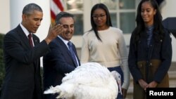 Barack Obama lors du pardon annuel de la dinde de Thanksgiving "Abe" à la Maison Blanche, le 25 Novembre 2015, en présence des ses filles Malia et Sasha, et de Joe Hedden, directeur d'un élevage de dindes. (Photo Reuters)