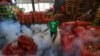 Zika Feared to Be Greater Health Threat Than Ebola