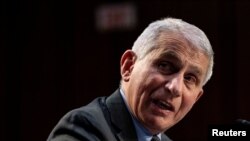Dr. Anthony Fauci, penasihat Gedung Putih untuk pandemi, di rapat dengar pendapat Komite Senat untuk Kesehatan, Pendidikan, Tenaga Kerja, dan Pensiun, di Washington, 18 Maret 2021. 