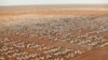 Le camp de refugiés de Dadaab au Kenya fermera peut-être en novembre 