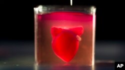 Une imprimante 3D imprime un cœur avec des tissus humains lors d'une présentation à l'Université de Tel Aviv en Israël, le 15 avril 2019.