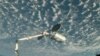 Estación Espacial recibe nave de Orbital ATK con suministros