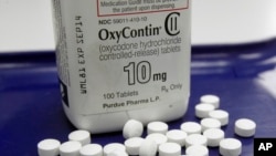 美国佛蒙特州一个药店摆放的阿片类药物。只占世界人口5%的美国却消费了全球80%的止痛药。