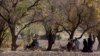 16x9 Image