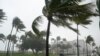 Tropical Storm Eta Likely to Arrive as Hurricane in Florida Late Sunday