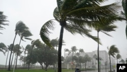 热带风暴“埃塔”造成的暴雨袭击佛罗里达州的迈阿密海滩市（2020年11月8号）。