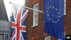 Britanija je 31. januara napustila Evropsku uniju i ušla u period tranzicije koji traje do kraja ove godine. 