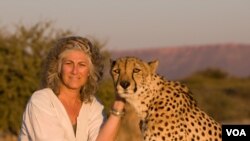 Laurie Marker, pendiri dan pimpinan eksekutif Dana Pelestarian Macan Tutul, berpose dengan Chewbaaka, macan tutul yang dipeliharanya sejak 16 tahun lalu.