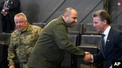 Министр обороны Украины Рустем Умеров и глава оборонного ведомства Швеции Пол Юнсон (архивное фото)