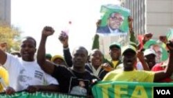 Zanu PF Youths