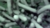 Doctors Urged to Curb Overuse of Antibiotics During Cold, Flu Seasons