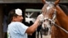 US Will Add 15,000 Temporary Work Visas