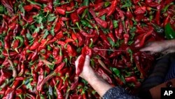 Red Peppers - Spice