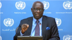 Idriss Fall s’est entretenu avec Adama Dieng, secrétaire général adjoint des Nations unies