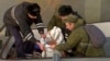 Data Recorder From Russia Plane Crash Recovered