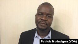 Dewa Mavhinga