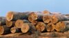 Brazil Seeks to Privatize Key Stretches of Amazon Highways 