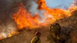 Los bomberos lograron contener el 50 por ciento del avance de un incendio forestal cerca de San Francisco
