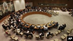 U.N. Security Council