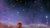 Revelan fotos de incontables galaxias captadas por el telescopio Euclid