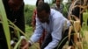Minute Eco: BAD - des doutes sur la réélection d'Akinwumi Adesina